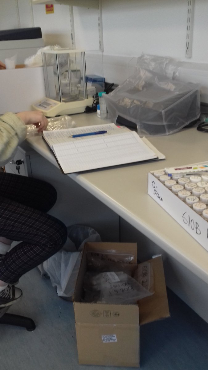 menudolio's tweet photo. This week we have Alannah and Aisling (TY students) doing their work experience with us at #MorPalaeoLab! Hands on those sediment samples and data from the get go!! We will be keeping you up to date with their experience at @GeogNUIG and discover if #Geography could be for you!! https://t.co/klHVsVi62R