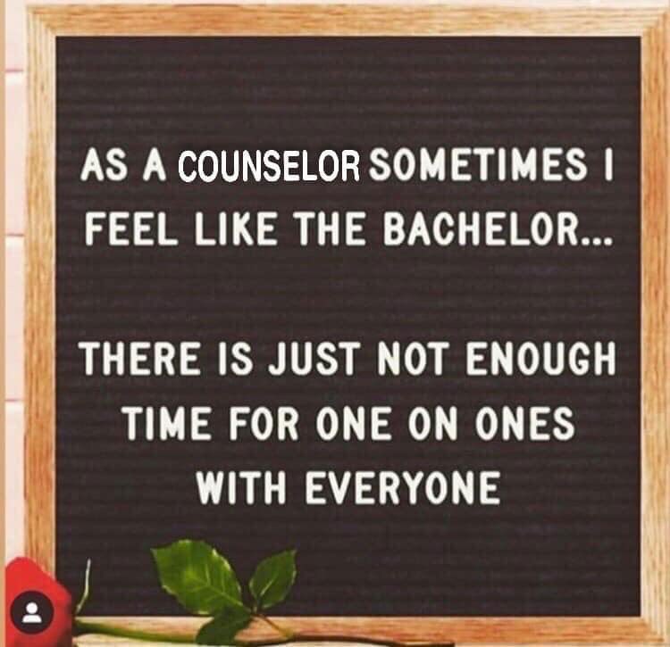 CounselorSTice's tweet photo. The struggle is real but every moment is special! 😂 Happy School Counselor Week! #NSCW2020 https://t.co/T6g6yeEbjk