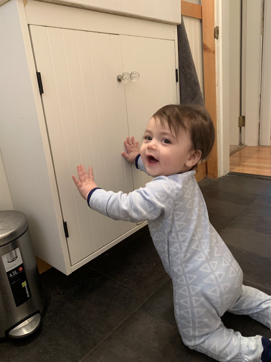 xoshells's tweet image. #tmlt Living his best life