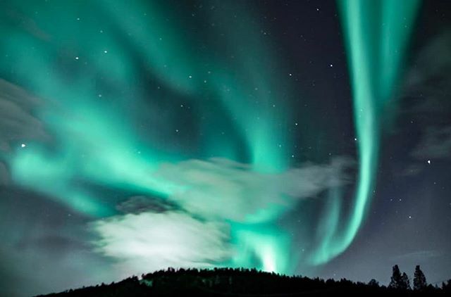 Een mooi plaatje van het noorderlicht 😍! Hebben jullie het noorderlicht ooit gespot?
📸@kimberleyjekel
.
.
#lonelyplanet #lonelyplanetnl #reizen #reismagazine #reisinspiratie #ontdekken #inspiratie #bucketlist #fotografie #reisfotografie #travel #weli… ift.tt/2S0v0Ct