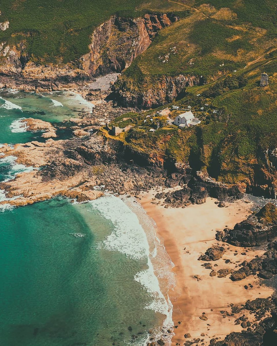 Tristan Young tweet media