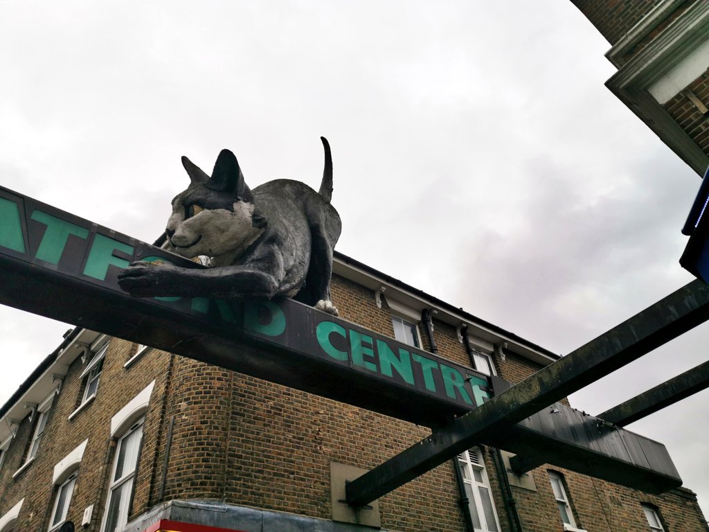 @Love_SE4💙 tweet media