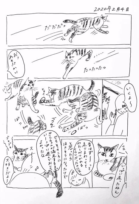 2020/2/4のぎんちゃん  #今日のぎんちゃん 