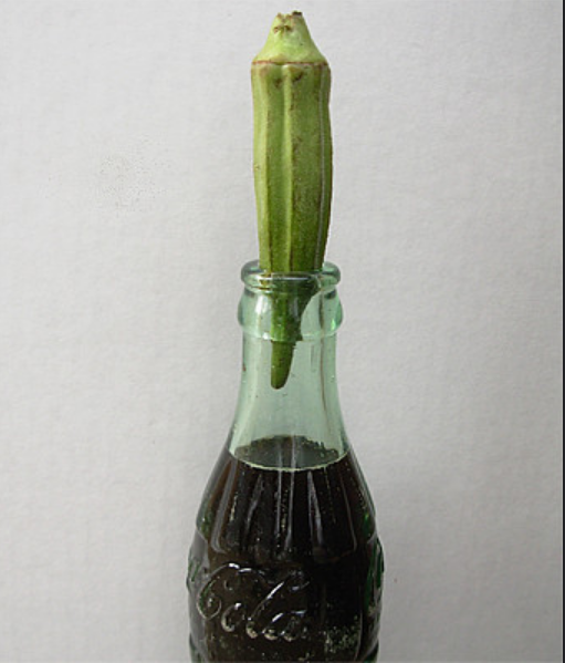 A piece of okra stuck in the top of a bottle of coca cola