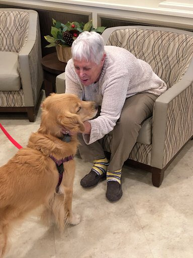 CareOneCares's tweet photo. The best way to start your morning? With a visit from Kira, CareOne at Somerset Valley’s #therapy dog!  What a great way to start a grey Tuesday! #dogtherapy #pettherapy #goldenretriever #boundbrooknj #trustinourcare https://t.co/luLF43md61