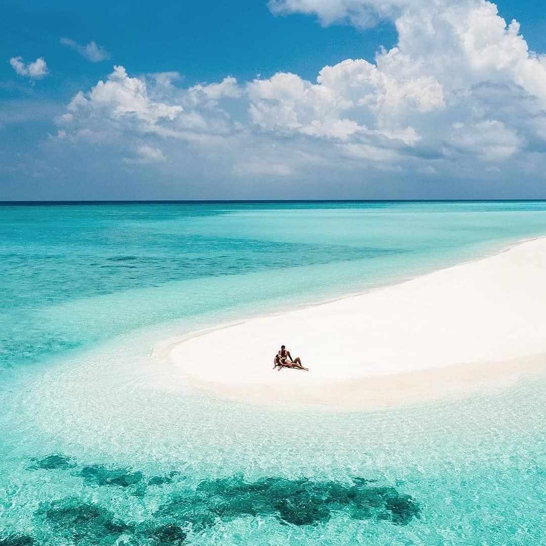 thedoggich's tweet photo. Travel around the world and discover amazing holiday offers from a fantastic range ... Save by booking your flight + hotel together at https://t.co/cvM2DXkzjk and create your perfect trip. @thedoggich ✔️ We Hunt Your #Travel With Best Price! https://t.co/C4ncO3QBzd