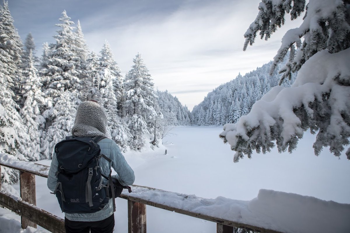 Brome-Missisquoi tweet media