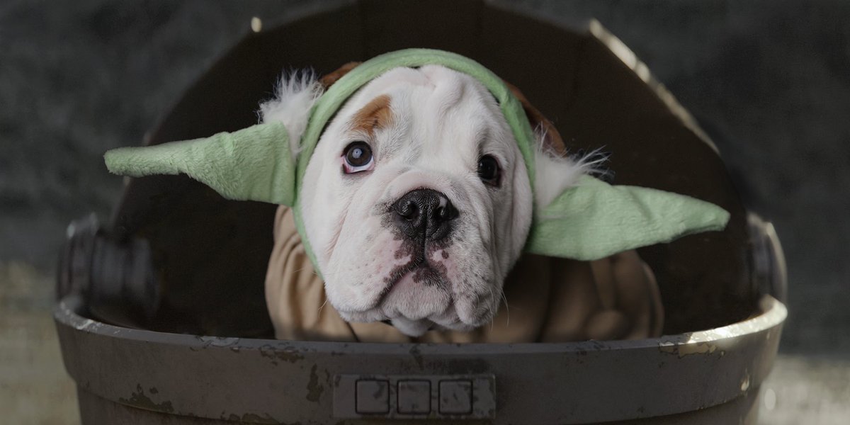TheButlerBlue's tweet photo. This is the 𝑩𝒖𝒕𝒍𝒆𝒓 Way. https://t.co/PIeDPeKuRT