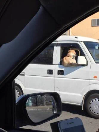 @mi_zu_to_ra F外失
これを思い出しました 