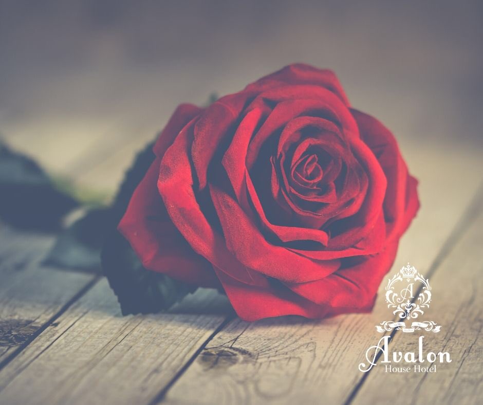 Have you made your dinner reservations for Valentine's yet? Our Head Chef <a href="/cpodowd/">cpodowd</a> of <a href="/LilsAvalonHouse/">Lil's at Avalon House Hotel</a> has assembled a fantastic 7 Course Tasting Menu.

"Cooking is like love: It should be entered into with abandon or not at all." — Harriet van Horne