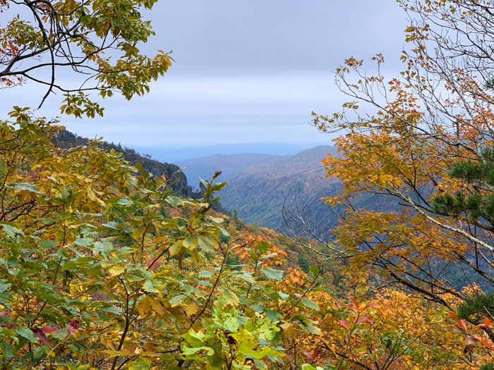 eatmovemake's tweet photo. Experience the fall colors of the Blue Ridge Mtns through these unforgettable outdoor experiences (like tandem hang gliding) in Burke County, NC! https://t.co/fd7FUU1lS0

#travel #visitNC #BurkeOut https://t.co/SvJJUL2m3P