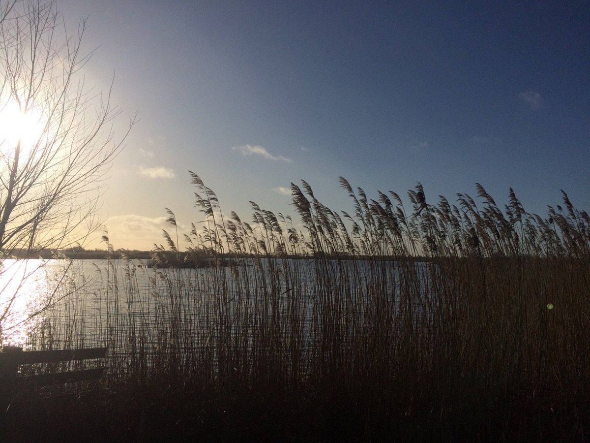 colorcircle_eu's tweet photo. [#live #IRLECOLOR] #INTERREGCOLORCIRCLE #studyvisit @VHL_University cooperation with #localcommunities to test new cultures on peatlands #BetterWetter 
Make value of wet #peatlands, preventing subsidence, addressing #climatechange https://t.co/gC2h3qjsf1