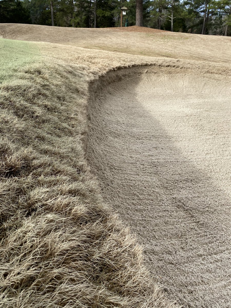 WestonDeanTurf's tweet image. A couple members of a our crew are working diligently on edging and redefining our bunker edges #MyCarolinasMorning