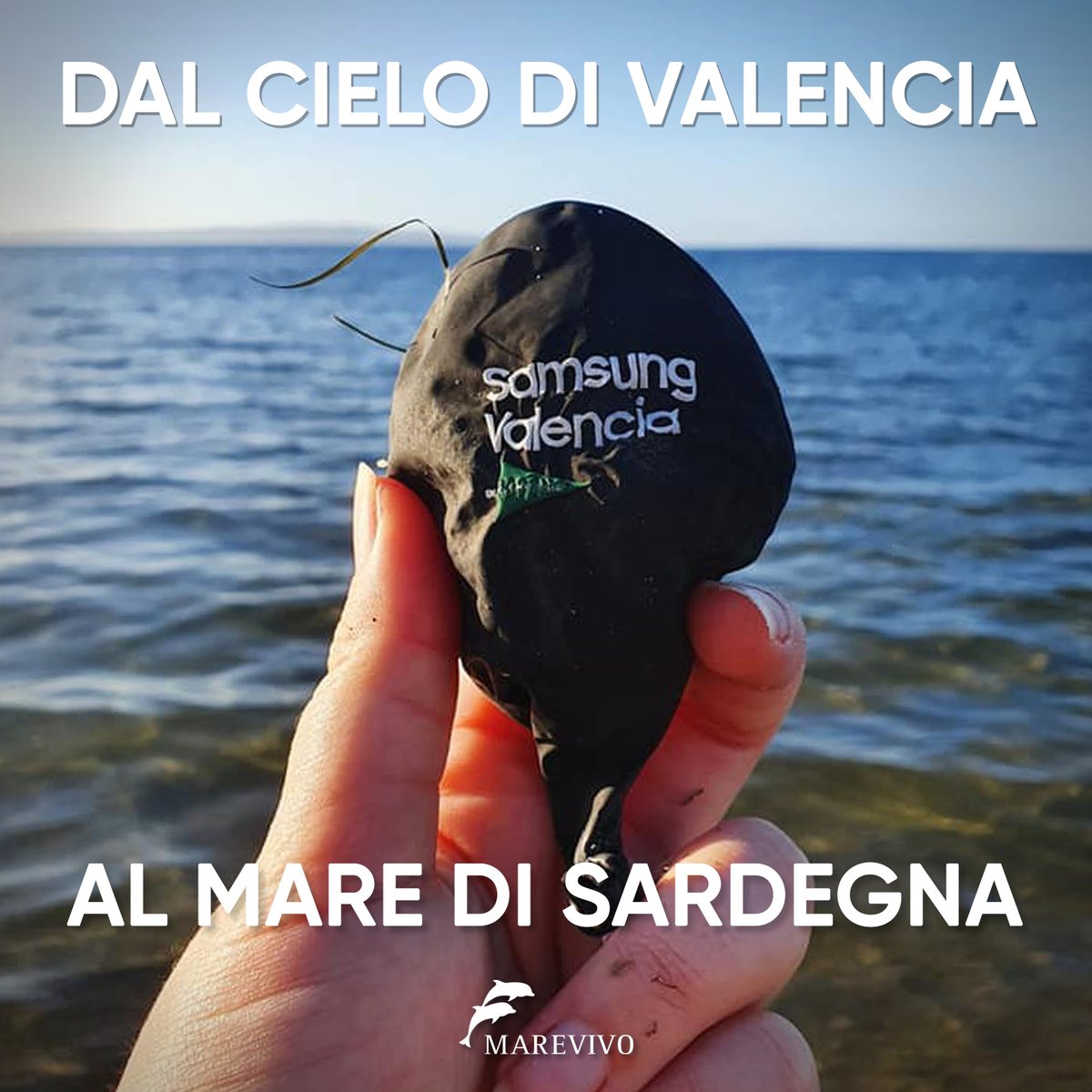MarevivoETS's tweet image. Hi @Samsung, during our beach clean-up in Sardinia we found this. It probably comes from Valencia and traveled 800km. All released balloons return to Earth as litter and kill animals. So we thought you'd want to know and maybe, next time, you will think of an alternative. Thanks!