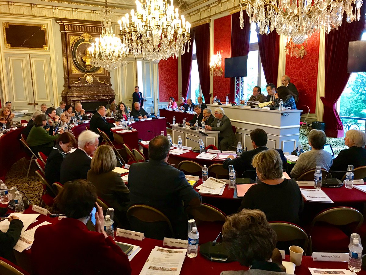Les_Yvelines's tweet photo. #HautsDeSeine_Yvelines La séance commence par une intervention de François Leblond qui préside et présente l'avis du #C2Di sur l'attractivité et la solidarité des 2 territoires à l'ère numérique.
+ d'infos ➡️ https://t.co/YiwN368bpZ https://t.co/ZWiySPfxmp