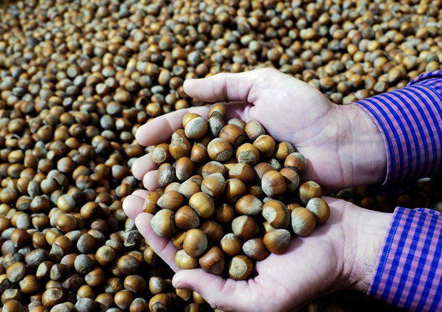 Alessia Bianchi tweet media