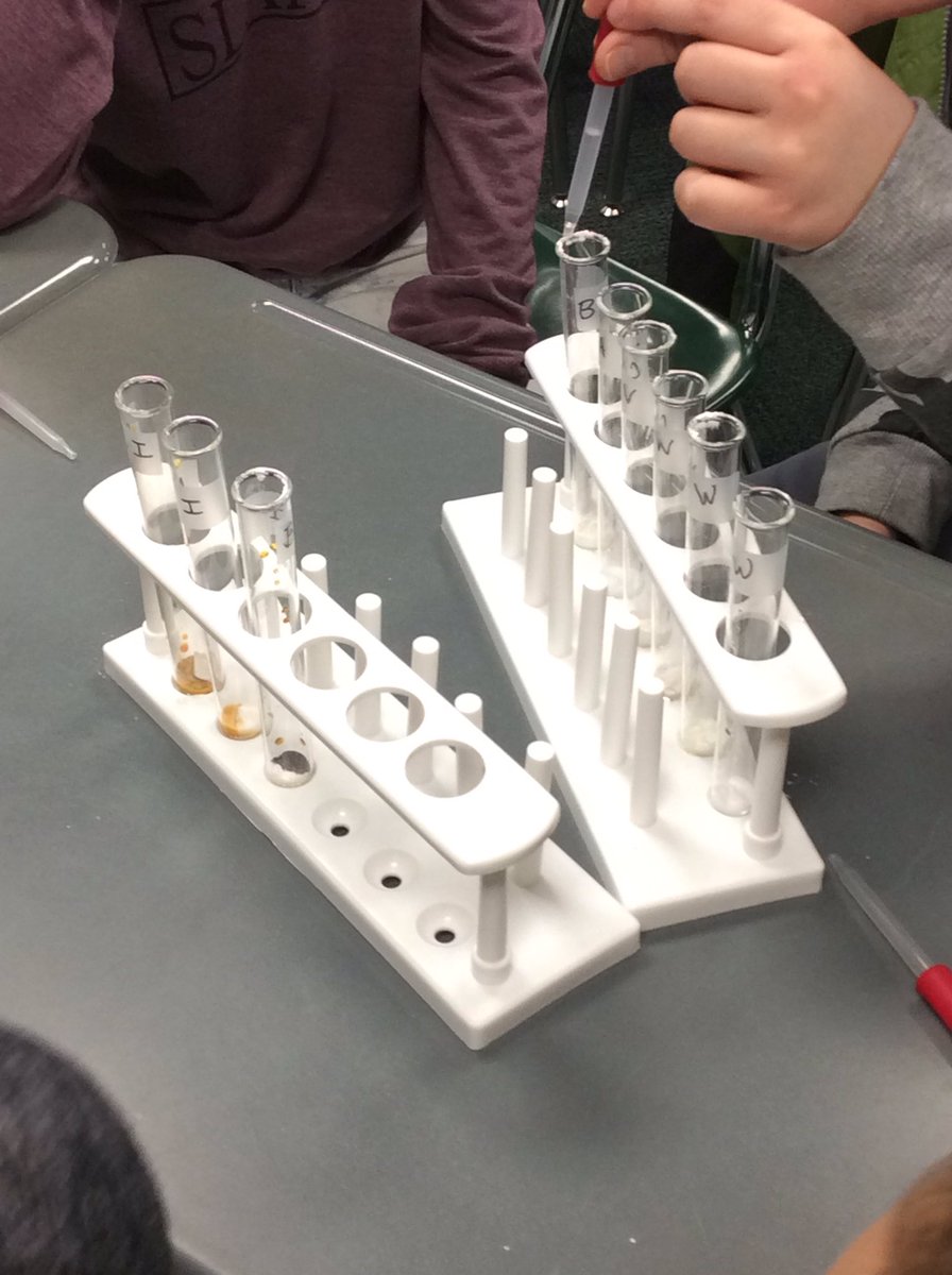 Determining “mystery” baking substances using water, vinegar and iodine! Students were able to determine the substances based on reactions. 💡🧪 #mtsdlearn @MTSD5thgrMrsW <a href="/MTSDmtes_jhes/">MTES</a>