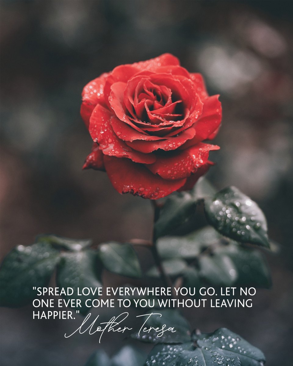 ✨🌹 Our Valentine's Gift To You! 🌹✨
We are sharing the love this Valentine's day by sending you a free gift!
Click here to find out more...
botanicals.co.uk/natural-beauty…