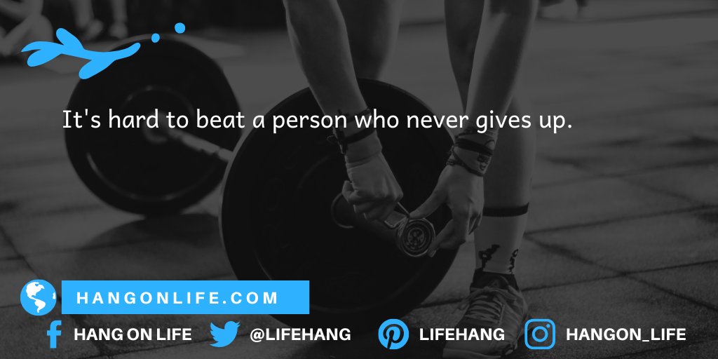 Hang on Life tweet media