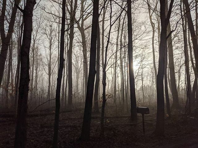 bradenworrell's tweet photo. Heavy fog during sunrise. Not a bad shot while driving 40mph 👌
.
.
.
#vsco #fog #creepywoods  #foggysunrise #pixel2photography https://t.co/84Cm2fm0qR https://t.co/Ler1LJ3TAH