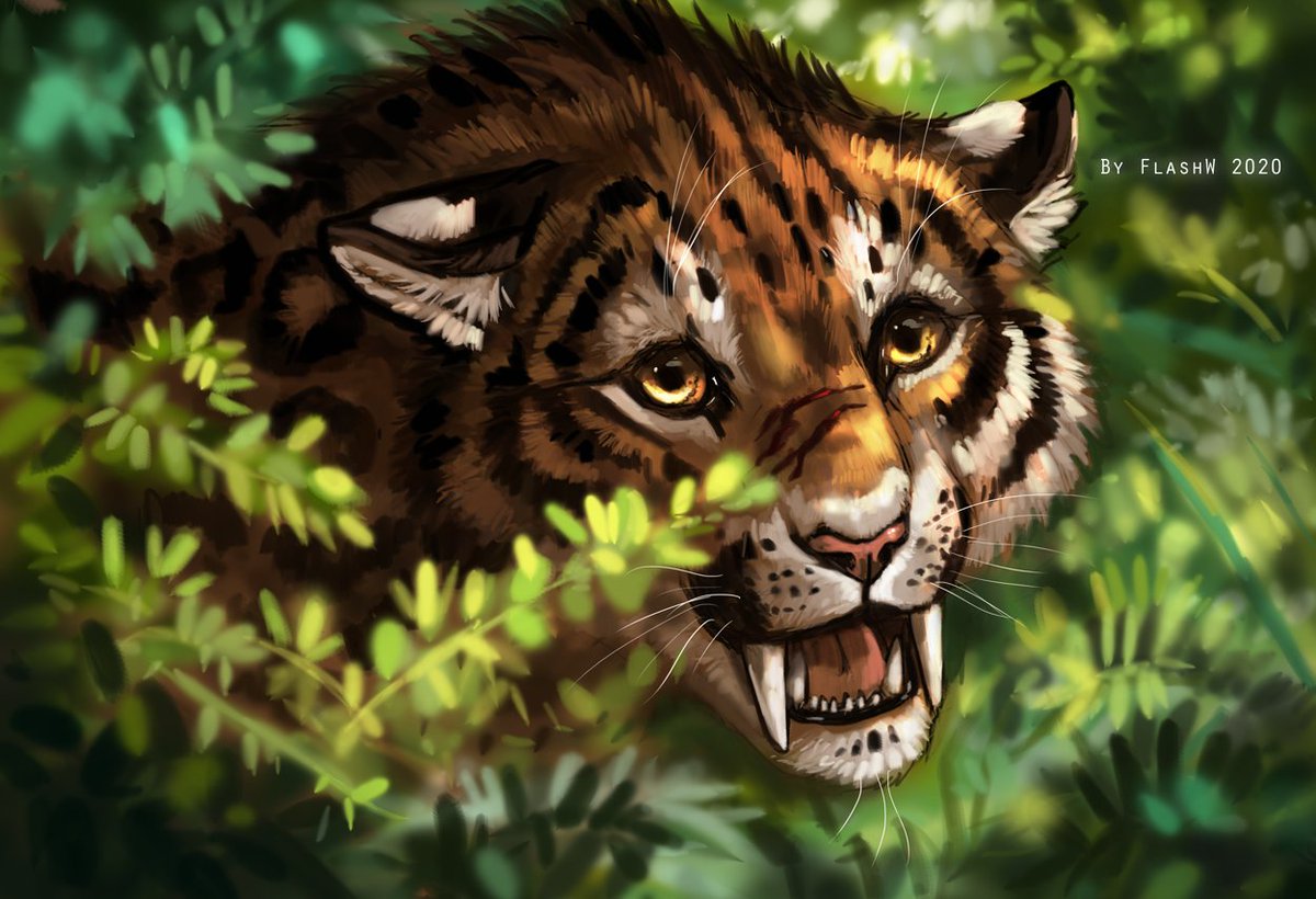 saber tooth tiger art