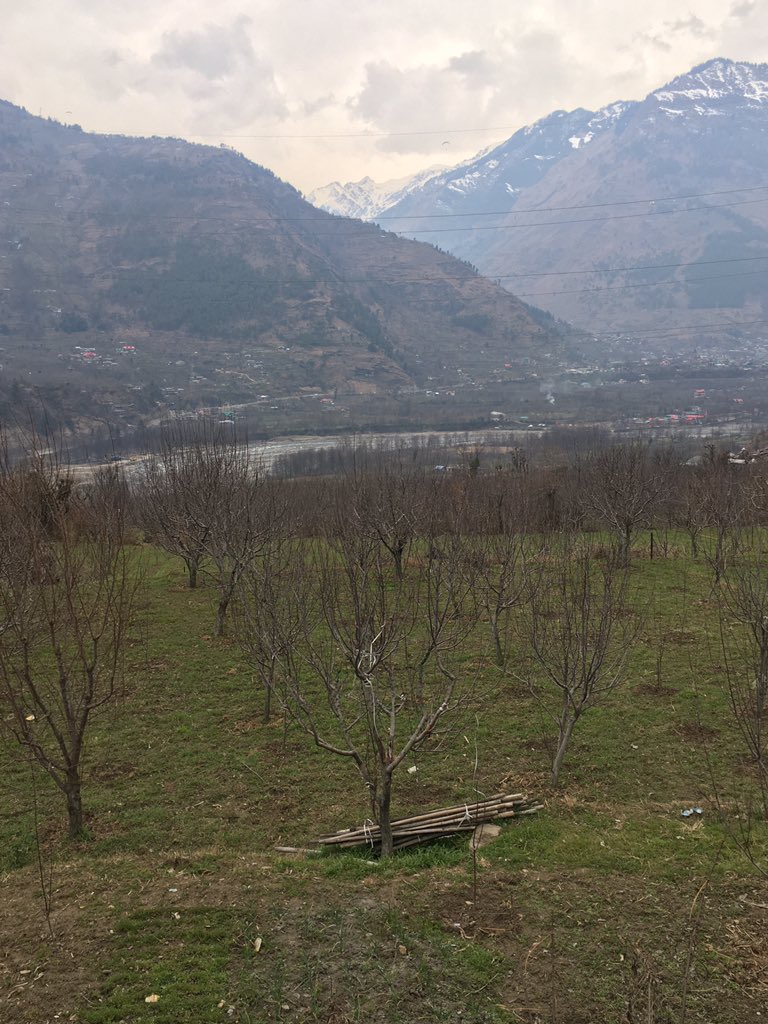 Apple orchard in the foreground, then River Beas and the vista of Himalayas