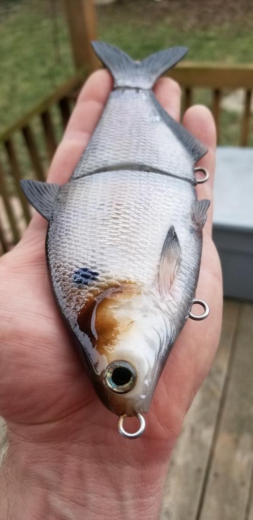 Holy smokes! This thing is going to catch a ton of fish!