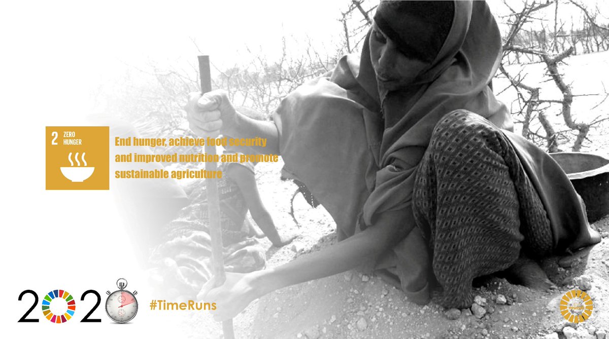 alia_mundi's tweet photo. Transforming our world. #SDG, #Agenda2030
#SDG2. ZERO HUNGER. End hunger, achieve food security and improved nutrition and promote sustainable agriculture #TimeRuns
https://t.co/xOZeNibZoA
@SDG2030, @SustDev, @ConnectSDGs
@Agenda2030Esp, @MedioAmbAND, @FAMPcomunica,
@DIPUSEVI https://t.co/OlhEXVFgC5