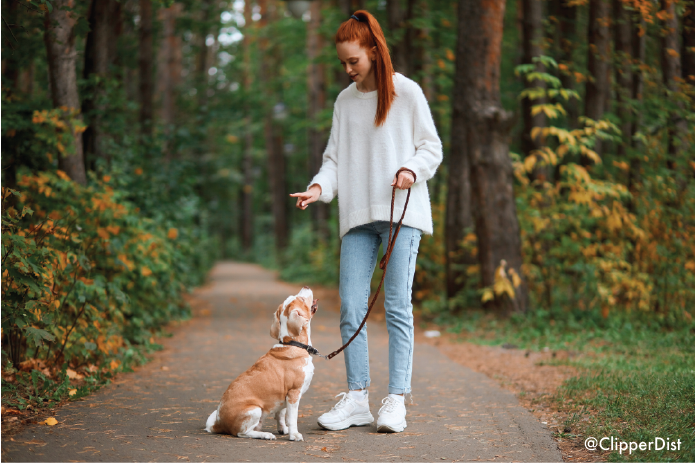 ClipperDist's tweet photo. February is Dog Training Education Month. Basic training is important for a well behaved dog. Check out this site that has informational videos on how to train your dog! https://t.co/i8JkcUIQxt #clippertiptuesday https://t.co/QzHHammuEp