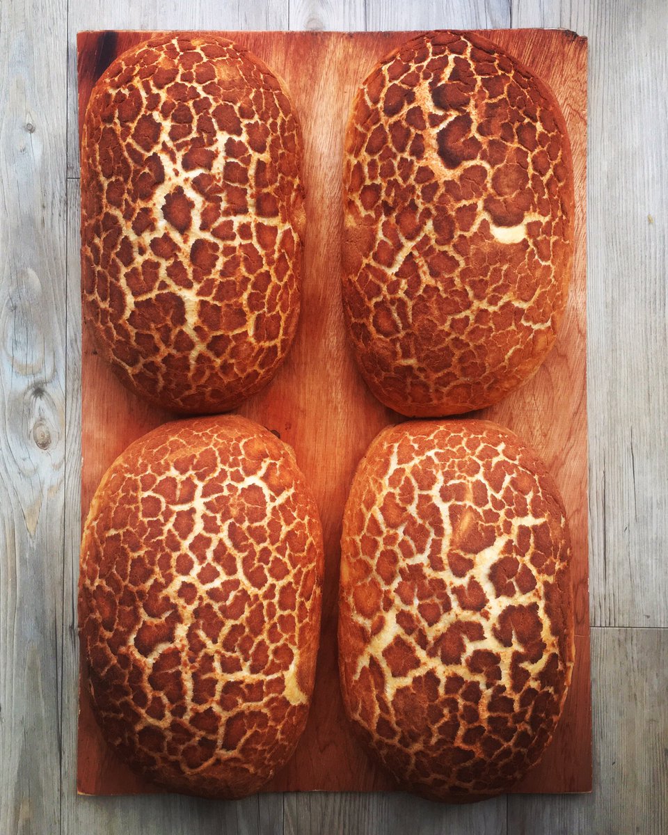 OMBCardiff's tweet image. #tigerbread 🐯