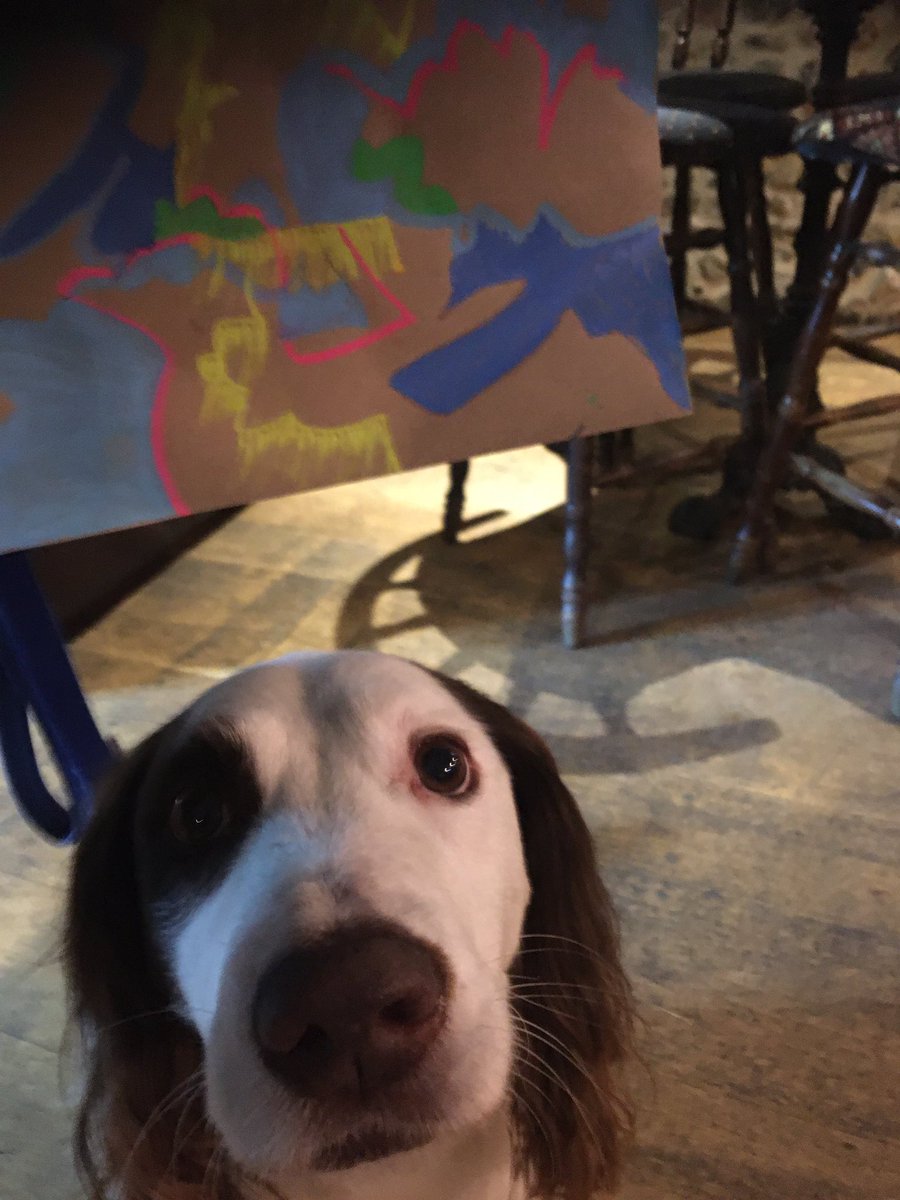 Rolo our dog of the week. A regular <a href="/oakesbarn/">Oakes Barn Partners</a> who is usually seen supporting <a href="/artbranches/">Art Branches</a> <a href="/Dogfriendlybse/">DogFriendlyBSE</a> <a href="/ourburysteds/">Our Bury St Edmunds</a> #dogoftheweek #dogfriendly #dogfriendlypub #COMPANION