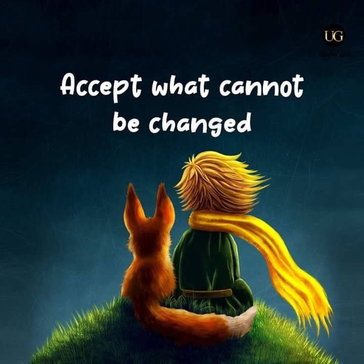 akeyramosalilio's tweet photo. https://t.co/sXJim1tzQS