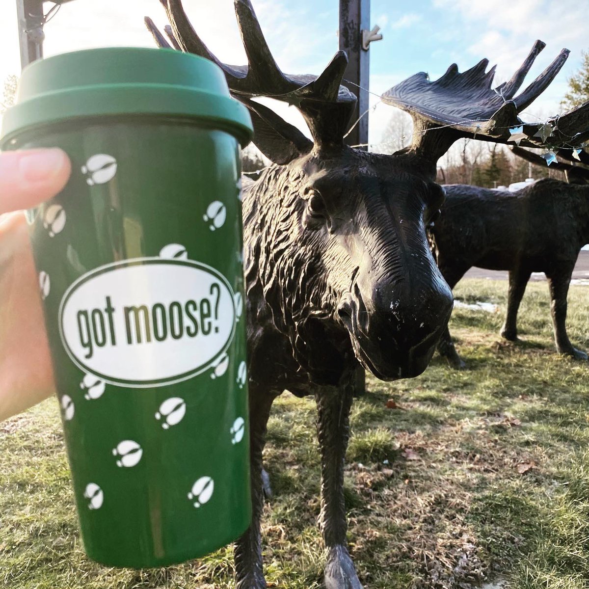 mainemoosetrack's tweet photo. #traveltuesday why not plan a #moosetour @mainemoosetrack 👉https://t.co/50AdqYTbgP https://t.co/KcOKmMI0YK