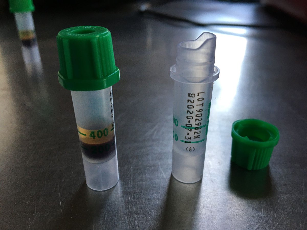 ground_hornbill's tweet image. Every time we need to move a bird we conduct full health checks to ensure we do not accidentally move pathogens or parasites. 

#bestpractise #IUCNReintroductionGuidelines #careforwhatwedo