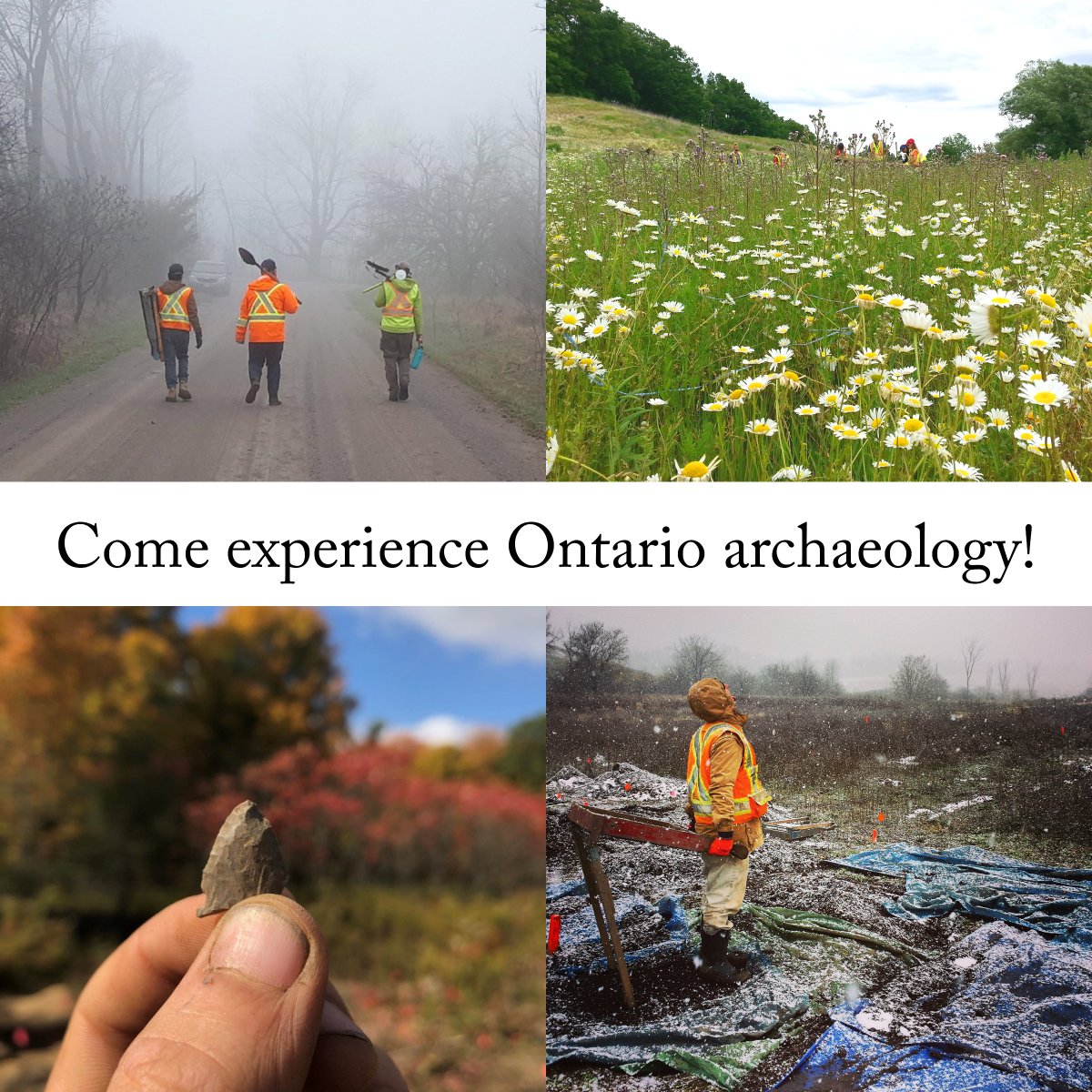 JOB POSTING

ASI (Burlington office) is hiring Field Technicians in advance of the 2020 field season. If you love working outside and have a passion for heritage, then apply today for a career in Ontario archaeology!

Visit our website for more details: asiheritage.ca/careers/