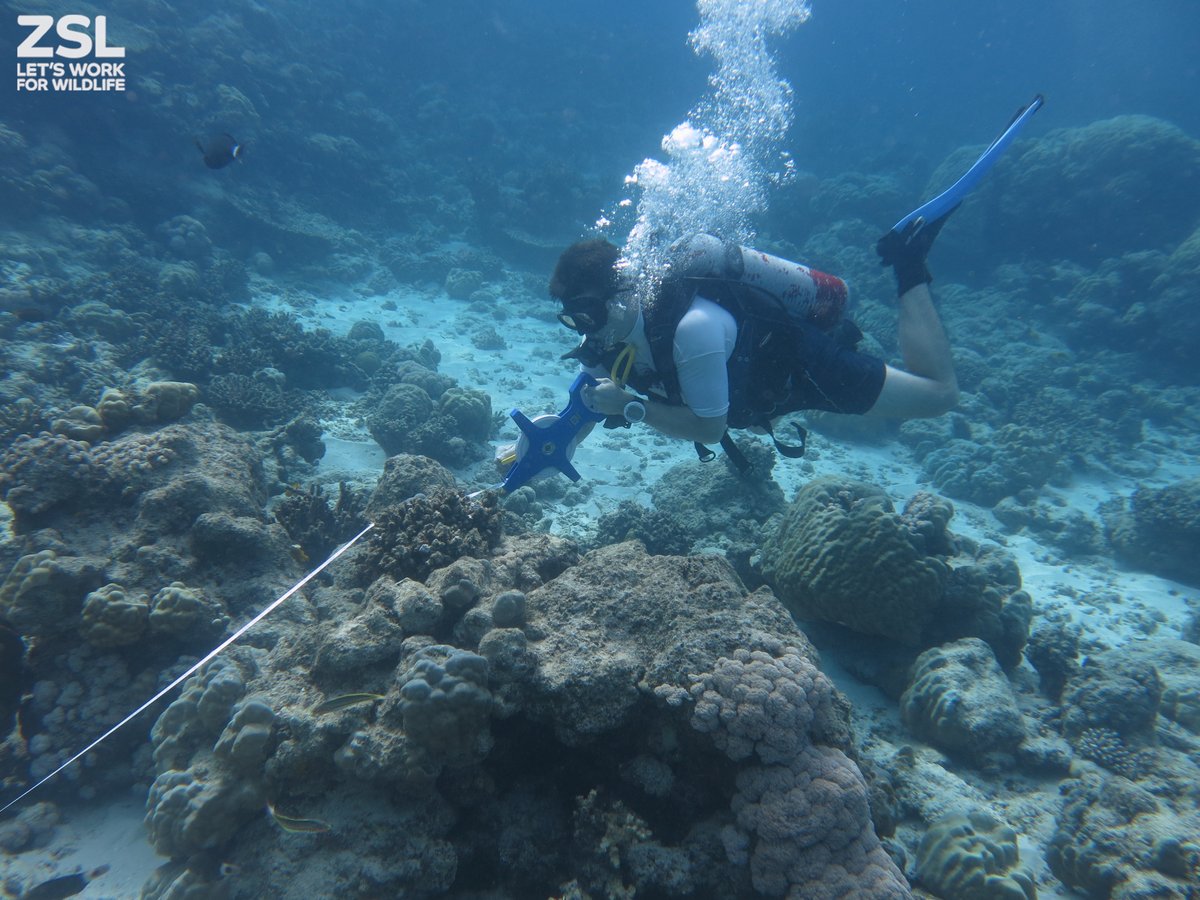 Dr David Curnick, ZSL