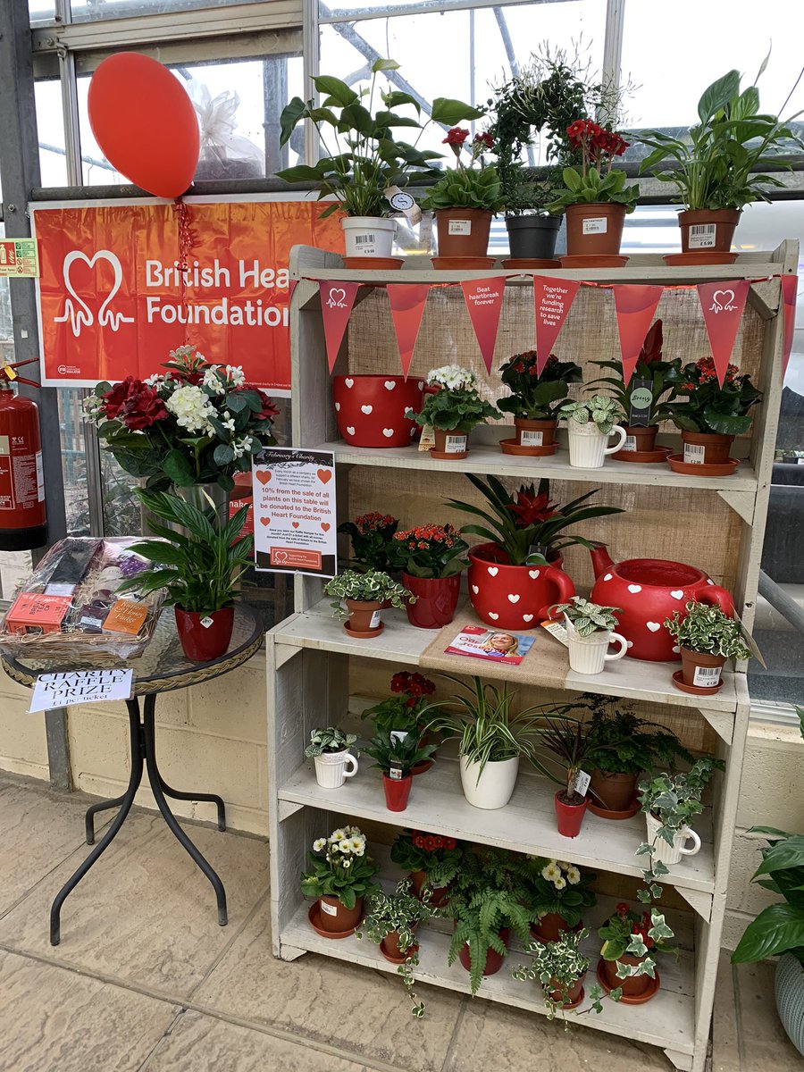 Wolvercroft's tweet photo. Each month we are supporting a different charity. This month we will be raising money for the British Heart Foundation. We will donate 10% from the sales of plants on the 2 charity displays &amp; we will be running a raffle to win a hamper, just £1 a ticket! #britishheartfoundation https://t.co/agFWYCsf8M
