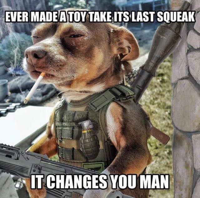 WriterRue's tweet photo. Tee Hee Tuesday #LOLs #ChuckleTime https://t.co/u2E8U0ZeBu