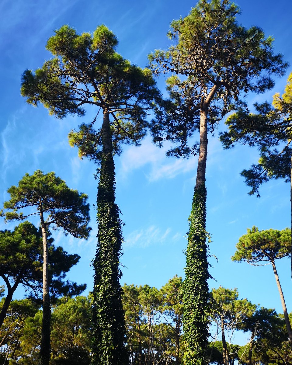 CariloPosada's tweet photo. ¿Te vas a perder ese momento de relax?🌲🌞
Contamos con un 🔥10%OFF🔥
.
.
.
.
Reservá tu estadía:
🌐 https://t.co/06EQIgiIau
📩 reservas@posadadelbosque.com.ar
📱011 53655433
WhatsApp al 011 4087 9637 https://t.co/99UnHXBI5t