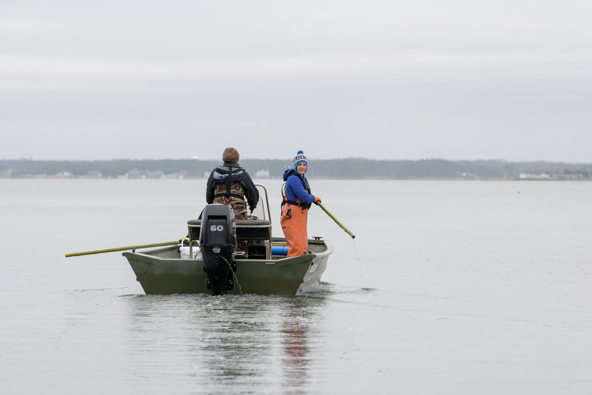 Two people stand on a boat searching for derelict traps in the water.