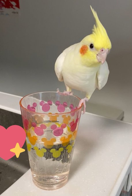 Twitterのコスプレ画像5