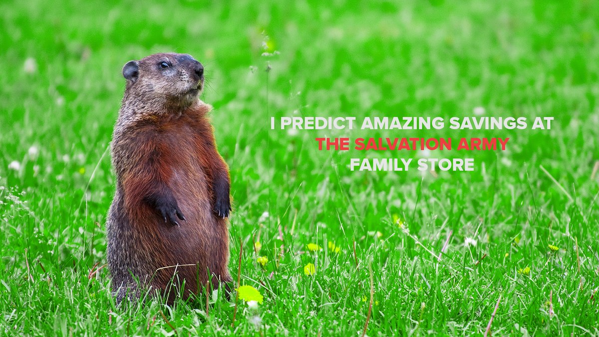 Groundhog Day predicts savings in Rockford thrift stores.