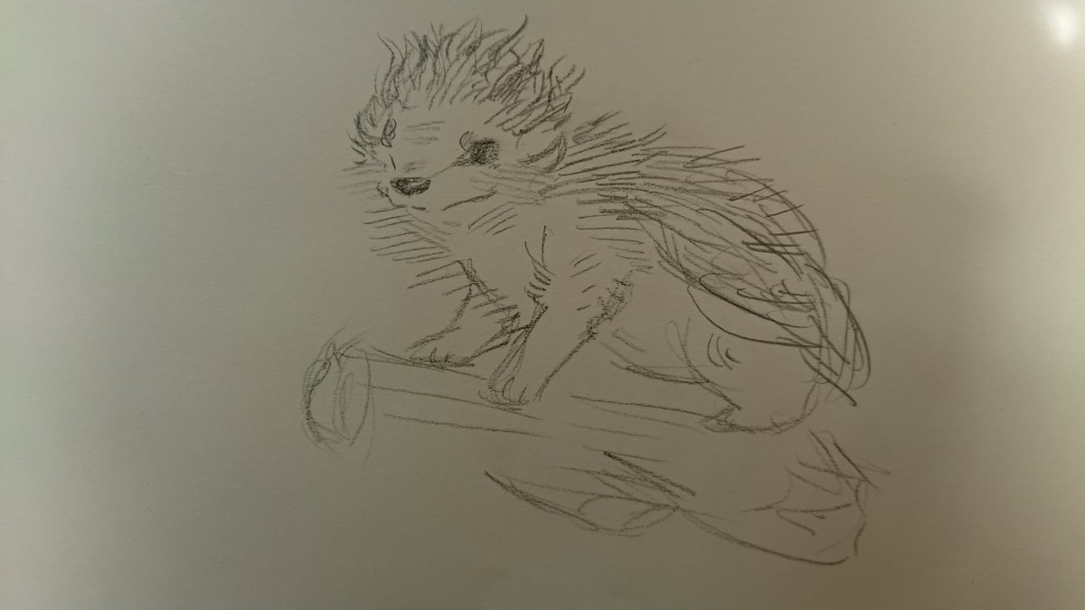 omglasgow's tweet photo. Today some of the groups at Alzheimer Scotland also created artworks based on our hedgehog and bug handling kits. https://t.co/DJID3a3GZ0