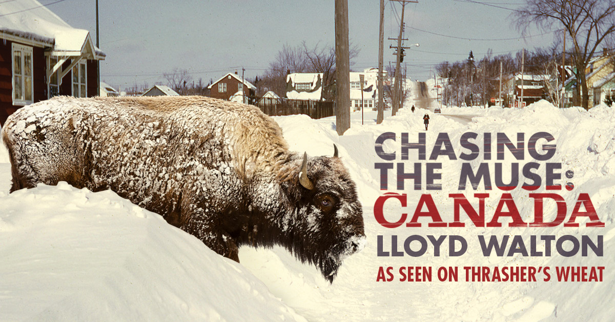 Lloyd Walton (@edgecitylloyd) on Twitter photo 