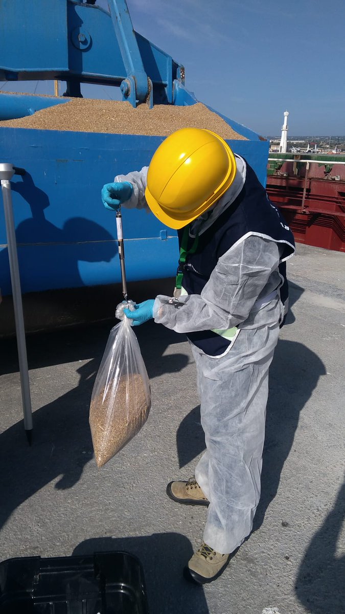 Edy Bandiera tweet media