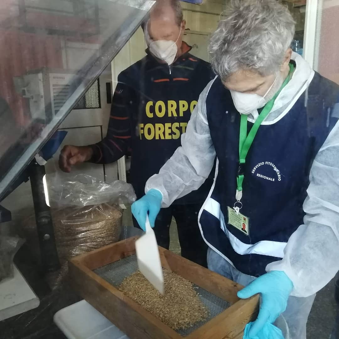 Edy Bandiera tweet media