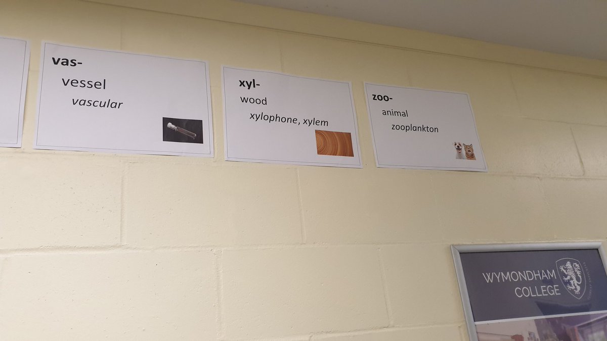 Ben Dewhurst tweet media