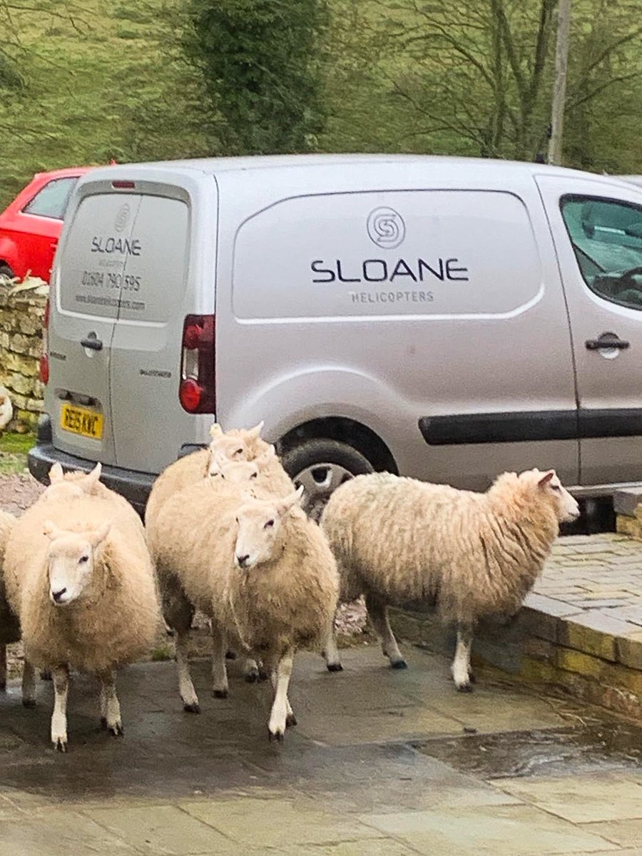 Our engineers are always on call for in-the-field maintenance 👨🏻‍🔧. This time we were greeted by a group of sheepish onlookers 🐑.
