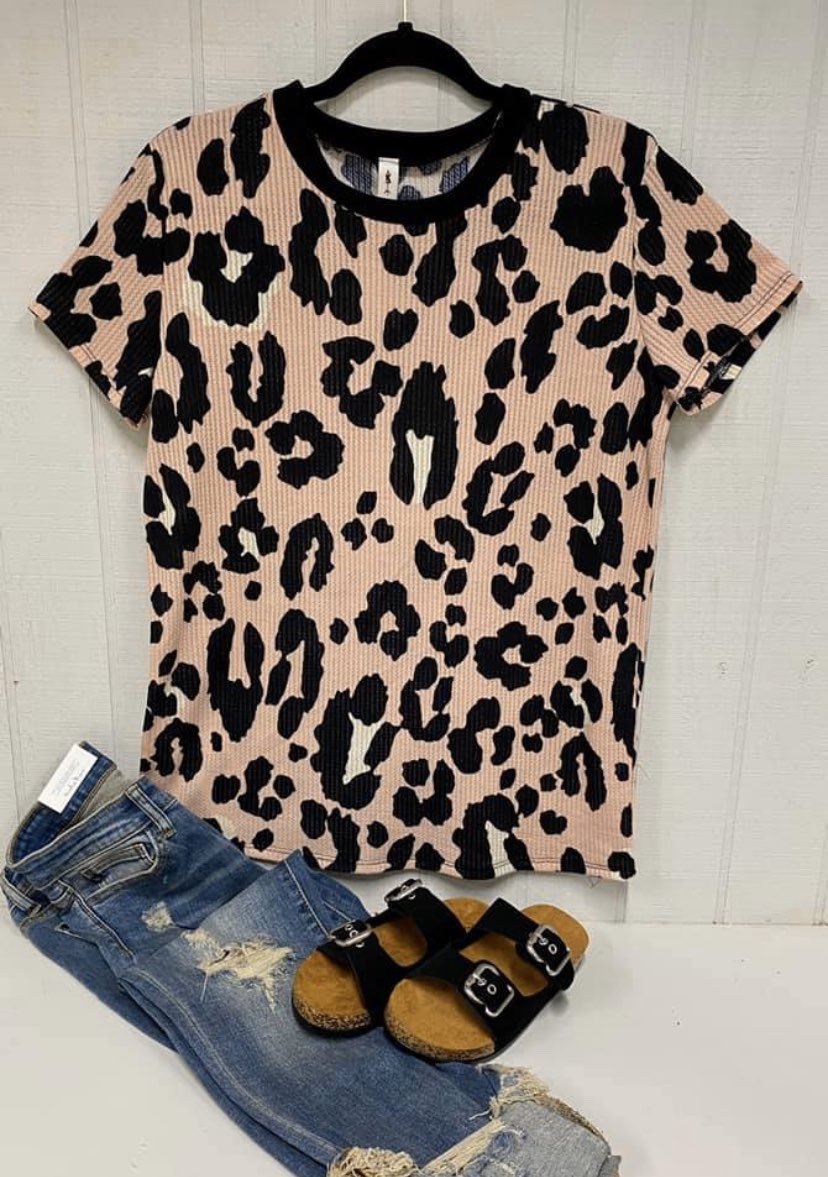_charm_boutique's tweet photo. Check out this super cute top and our best selling Judy Blues! Link to purchase is in our bio!🖤 https://t.co/dtUjMfrE0q