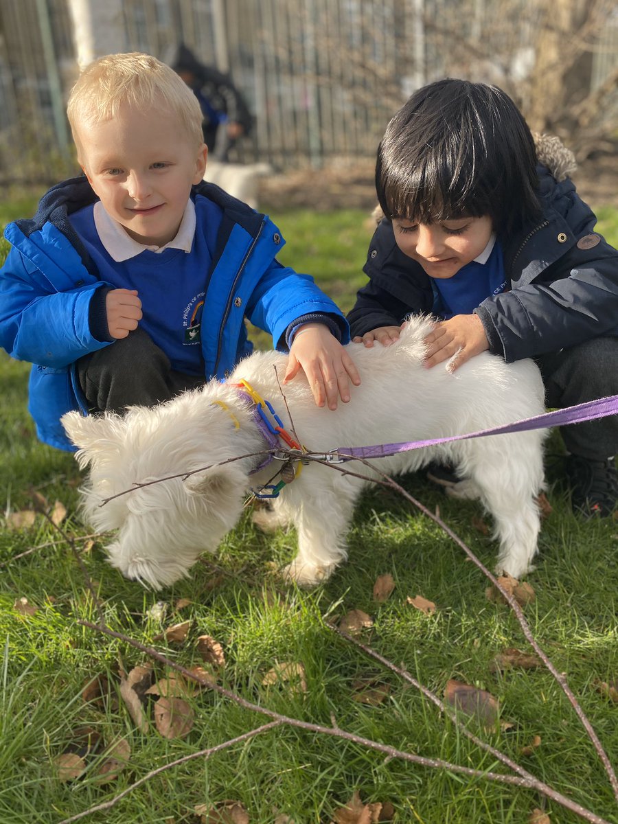 anneproctor31's tweet photo. Jasper and Milly wearing some on-trend necklaces with Reception children @STPHILIPSCE @Mr_Hooton @WeAreBDAT #learningcompassion #dogsoftwitter https://t.co/76CUG7sUit